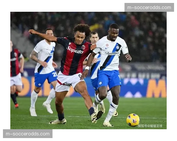 热那亚对阵萨索洛比赛因球迷向场内投掷烟火一度中断15分钟