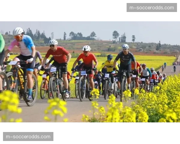 曲靖罗平花海自行车赛覆盖专业选手、业余爱好者与青少年群体，实现全民参与